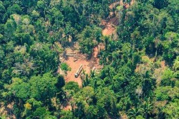 Brasnorte pode perder até 20% da arrecadação após decreto de Lula que amplia Terra Indígena