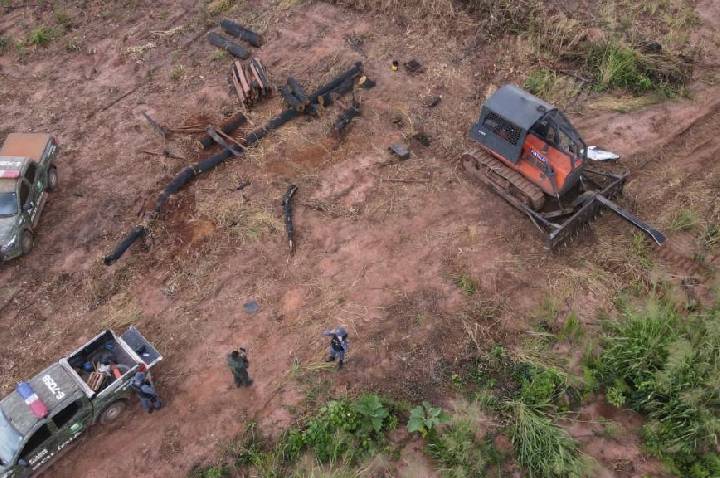 Fiscalizações ambientais da Polícia Militar aplicaram R$ 1,1 bilhão em multas