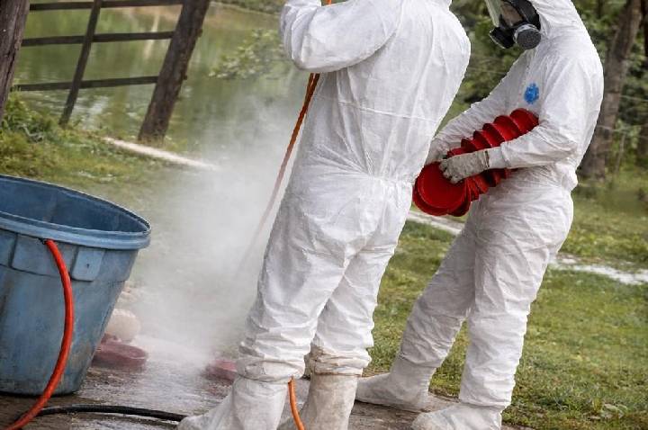 INDEA de Brasnorte alerta produtores rurais após confirmação de foco de gripe aviária em Acorizal