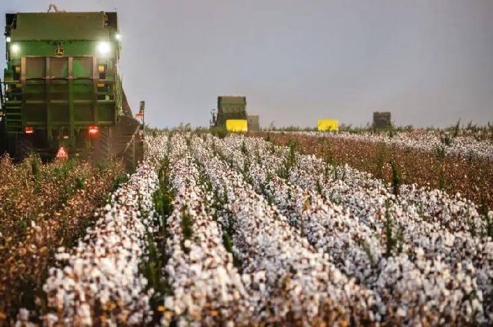 “Simplificação” tributária complica e encarece o trabalho do produtor rural