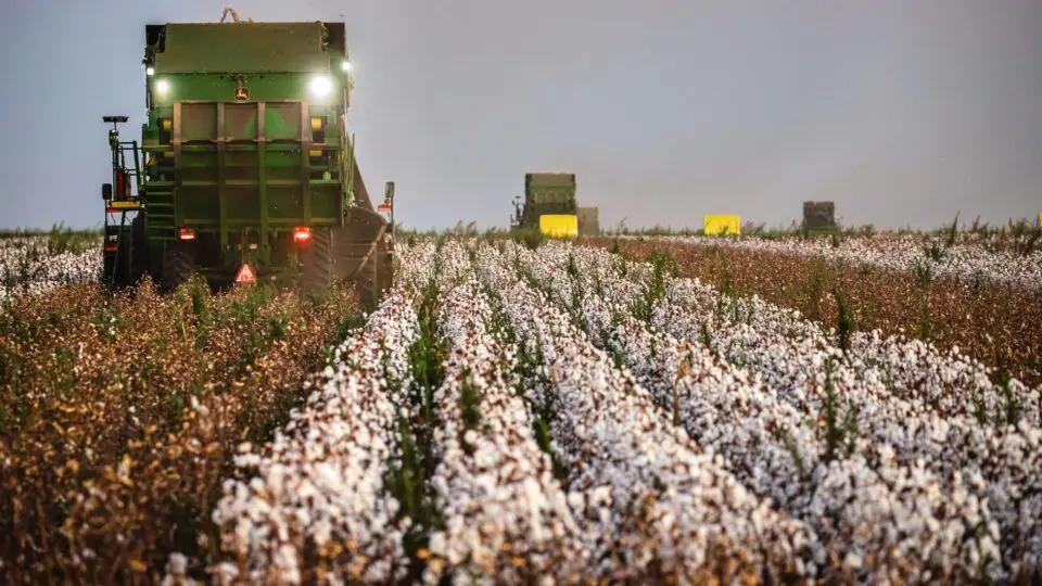 “Simplificação” tributária complica e encarece o trabalho do produtor rural