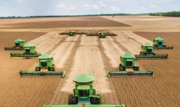 Mato Grosso ultrapassa 51% da área de soja colhida e puxa avanço da safra no Brasil, aponta Imea