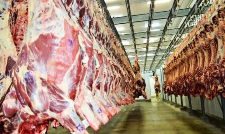 Ministério da Agricultura vê risco de colapso no setor de carne